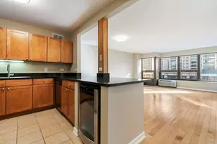 30 E Huron St, Chicago, IL 60611 - Photo 6