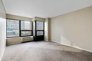30 E Huron St, Chicago, IL 60611 - Photo 18