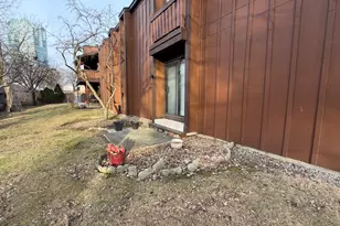 1S055 Spring Rd, Oakbrook Terrace, IL 60181 - Photo 22