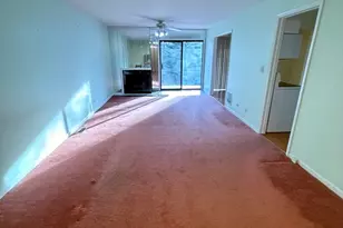 1S055 Spring Rd, Oakbrook Terrace, IL 60181 - Photo 6