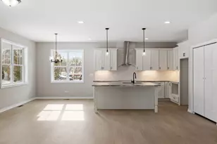 203 Hickory St, Peotone, IL 60468 - Photo 4