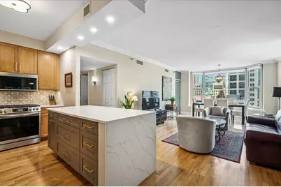 25 E Superior Street #1003, Chicago, IL 60611 - Photo 4