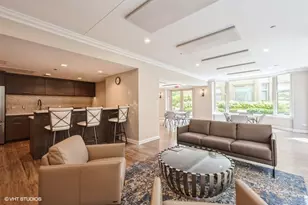 25 E Superior St, Chicago, IL 60611 - Photo 18