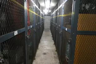 440 Raintree Ct, Glen Ellyn, IL 60137 - Photo 26