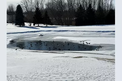 610 Golfers Lane, Bartlett, IL 60103 - Photo 30