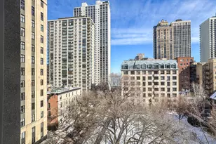 1260 N Astor St, Chicago, IL 60610 - Photo 42