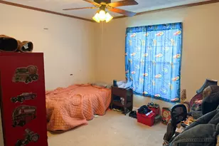 320 N Old Marion Rd, Orangeville, IL 62939 - Photo 24