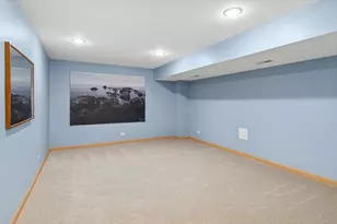 1568 Woodland Ln, Bolingbrook, IL 60490 - Photo 26