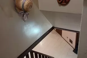 5142 Jarlath Ave, Skokie, IL 60077 - Photo 28