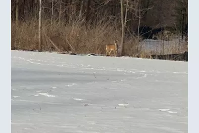 12720 Brighton Court, Mokena, IL 60448 - Photo 2