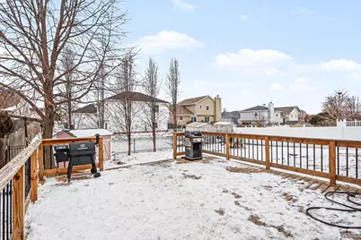 24946 Cashel Bay Road, Manhattan, IL 60442 - Photo 24