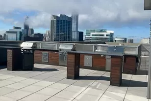 600 N Lake Shore Dr, Chicago, IL 60611 - Photo 28