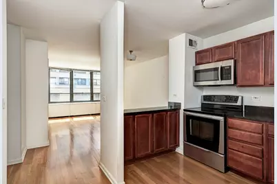 222 E Pearson Street #203, Chicago, IL 60611 - Photo 4