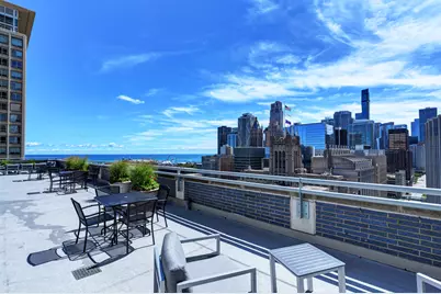 222 E Pearson Street #203, Chicago, IL 60611 - Photo 22