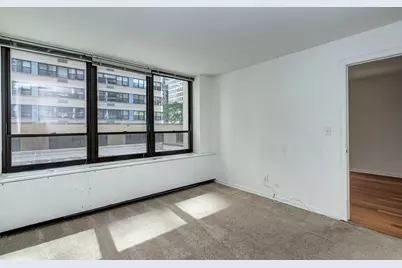 222 E Pearson Street #203, Chicago, IL 60611 - Photo 8