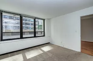 222 E Pearson St, Chicago, IL 60611 - Photo 8