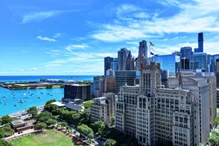 222 E Pearson St, Chicago, IL 60611 - Photo 28