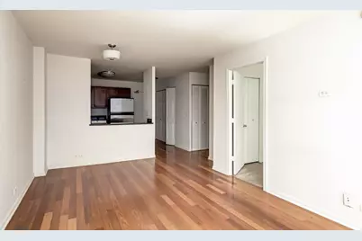 222 E Pearson Street #203, Chicago, IL 60611 - Photo 10