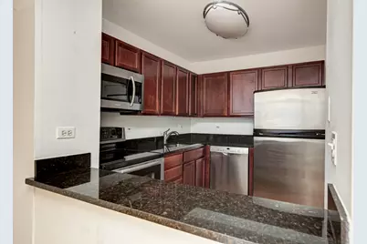 222 E Pearson Street #203, Chicago, IL 60611 - Photo 12