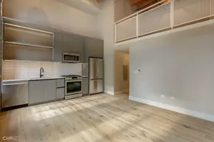 729 N Sangamon St, Chicago, IL 60642 - Photo 4