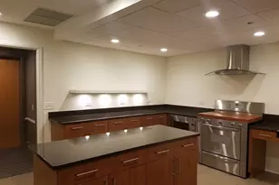 445 E North Water St, Chicago, IL 60611 - Photo 40