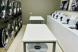 88 W Schiller St, Chicago, IL 60610 - Photo 20