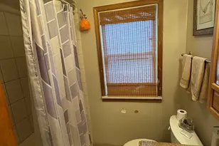 8800 S Merrill Ave, Chicago, IL 60617 - Photo 16