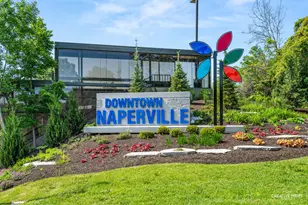 5332 Cedar Dr, Naperville, IL 60564 - Photo 50