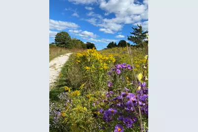 1007 Harris Road, Grayslake, IL 60030 - Photo 30