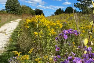 1007 Harris Rd, Grayslake, IL 60030 - Photo 30