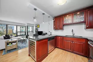 30 E Huron St, Chicago, IL 60611 - Photo 10