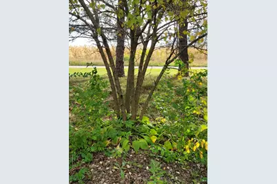 47 Partridge Lane #47part, Beecher, IL 60401 - Photo 6