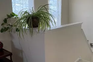 32504 Millstone Cir, Lakemoor, IL 60051 - Photo 18