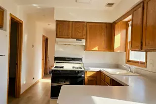 445 W 37th St, Chicago, IL 60609 - Photo 4