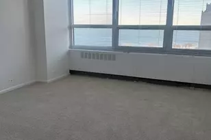 4800 S Chicago Beach Dr, Chicago, IL 60615 - Photo 16