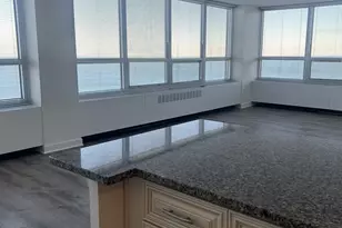 4800 S Chicago Beach Dr, Chicago, IL 60615 - Photo 4