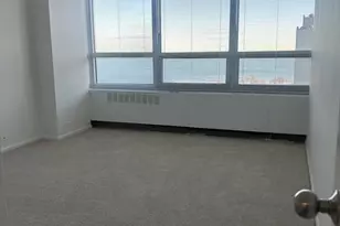 4800 S Chicago Beach Dr, Chicago, IL 60615 - Photo 14