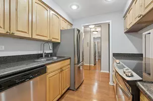 222 N Marion St, Oak Park, IL 60302 - Photo 6