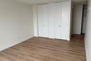 901 S Plymouth Ct, Chicago, IL 60605 - Photo 12