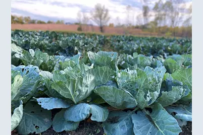 1571 Amos Bennett Street, Grayslake, IL 60030 - Photo 32