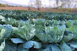 1571 Amos Bennett St, Grayslake, IL 60030 - Photo 32