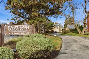 6568 W Roscoe St, Chicago, IL 60634 - Photo 4