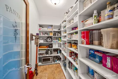 421 Bunning Drive, Downers Grove, IL 60516 - Photo 14