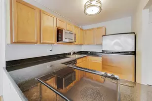 525 W Hawthorne Pl, Chicago, IL 60657 - Photo 18