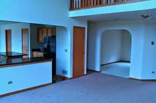 596 Farmview Ct, University Park, IL 60484 - Photo 10