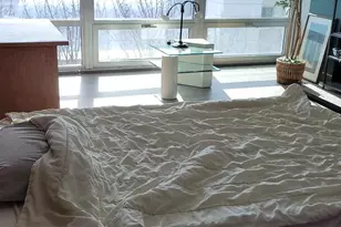 9655 Woods Dr, Skokie, IL 60077 - Photo 10