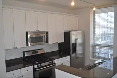 330 W Grand Avenue #1004, Chicago, IL 60654 - Photo 4