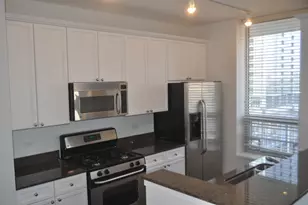 330 W Grand Ave, Chicago, IL 60654 - Photo 4