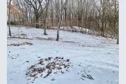 111 Oak Street, Dalzell, IL 61320 - Photo 28