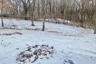 111 Oak St, Dalzell, IL 61320 - Photo 28